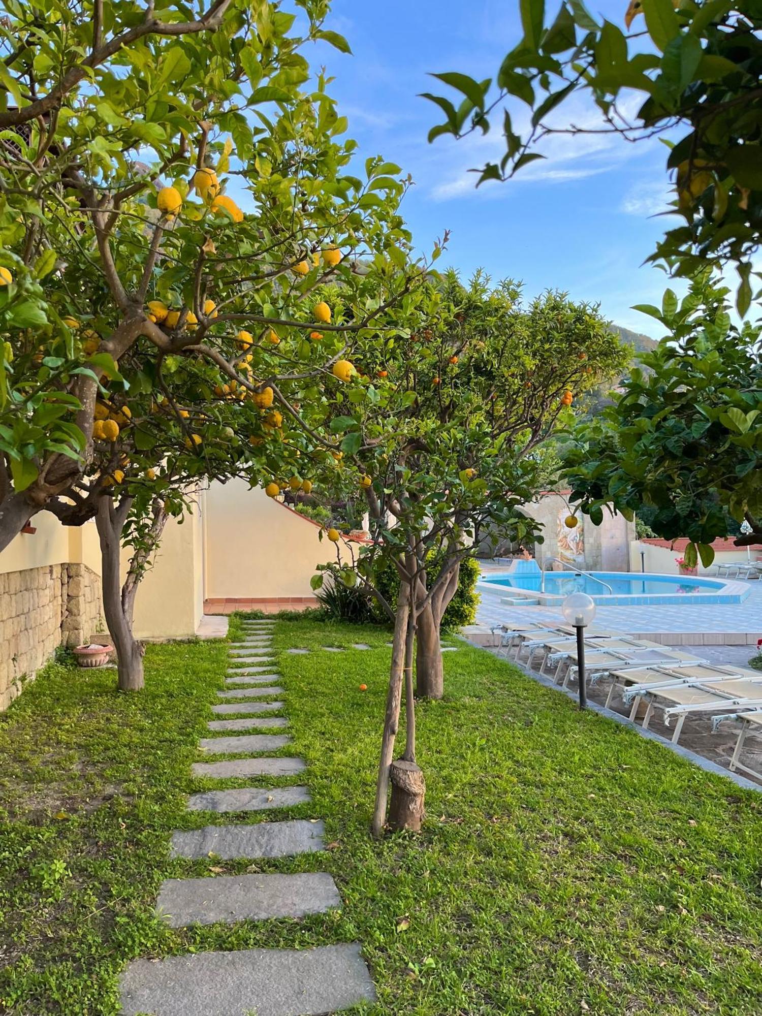 Resort Villa Flavio Casamicciola Terme Екстер'єр фото
