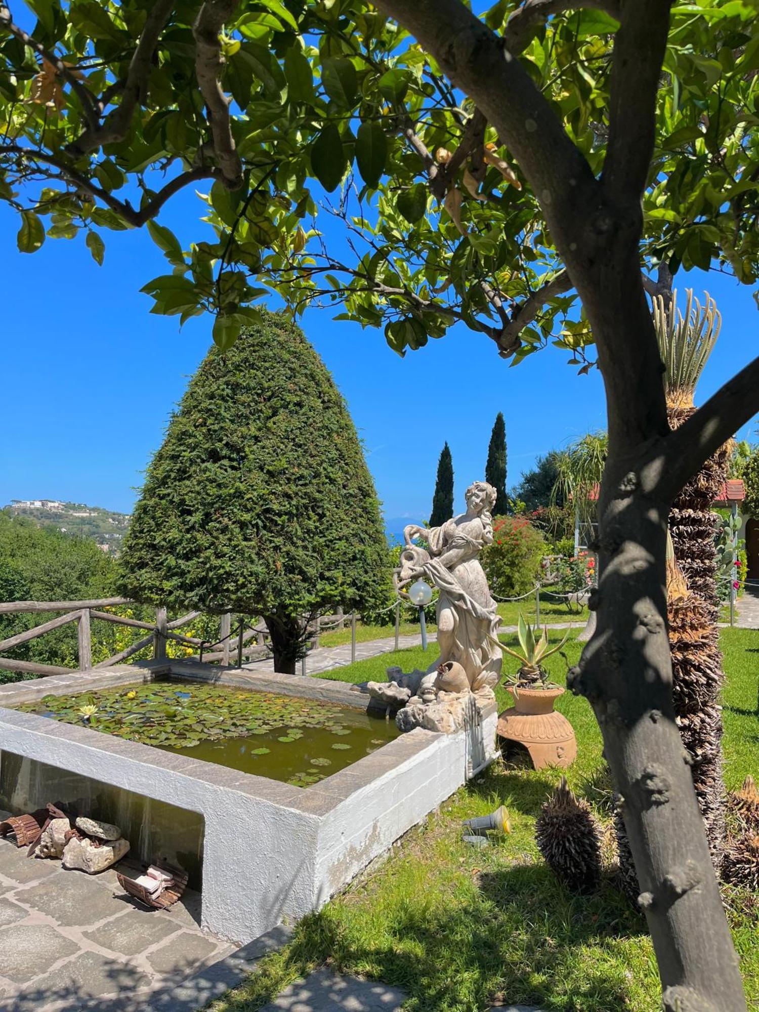 Resort Villa Flavio Casamicciola Terme Екстер'єр фото