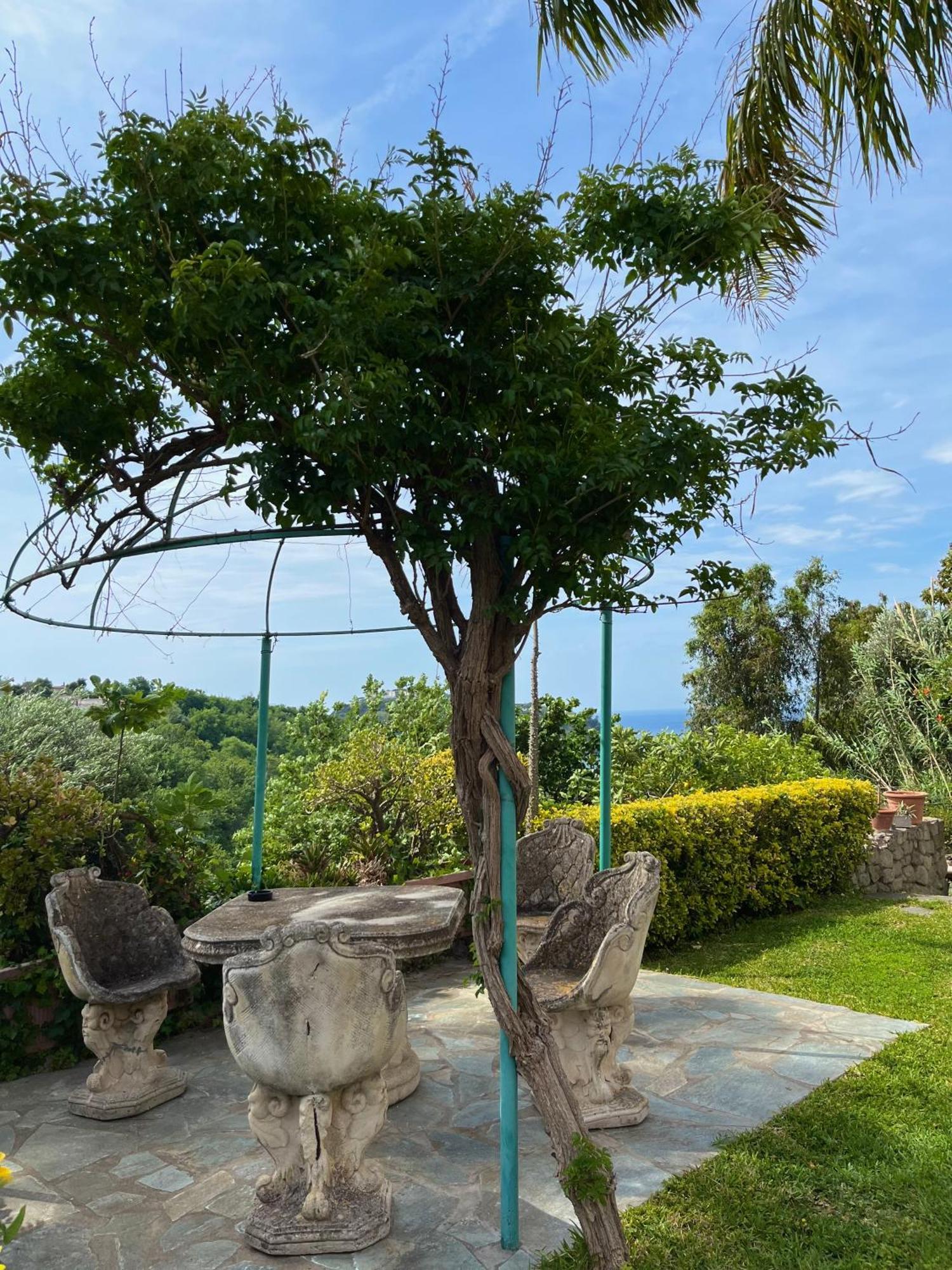 Resort Villa Flavio Casamicciola Terme Екстер'єр фото