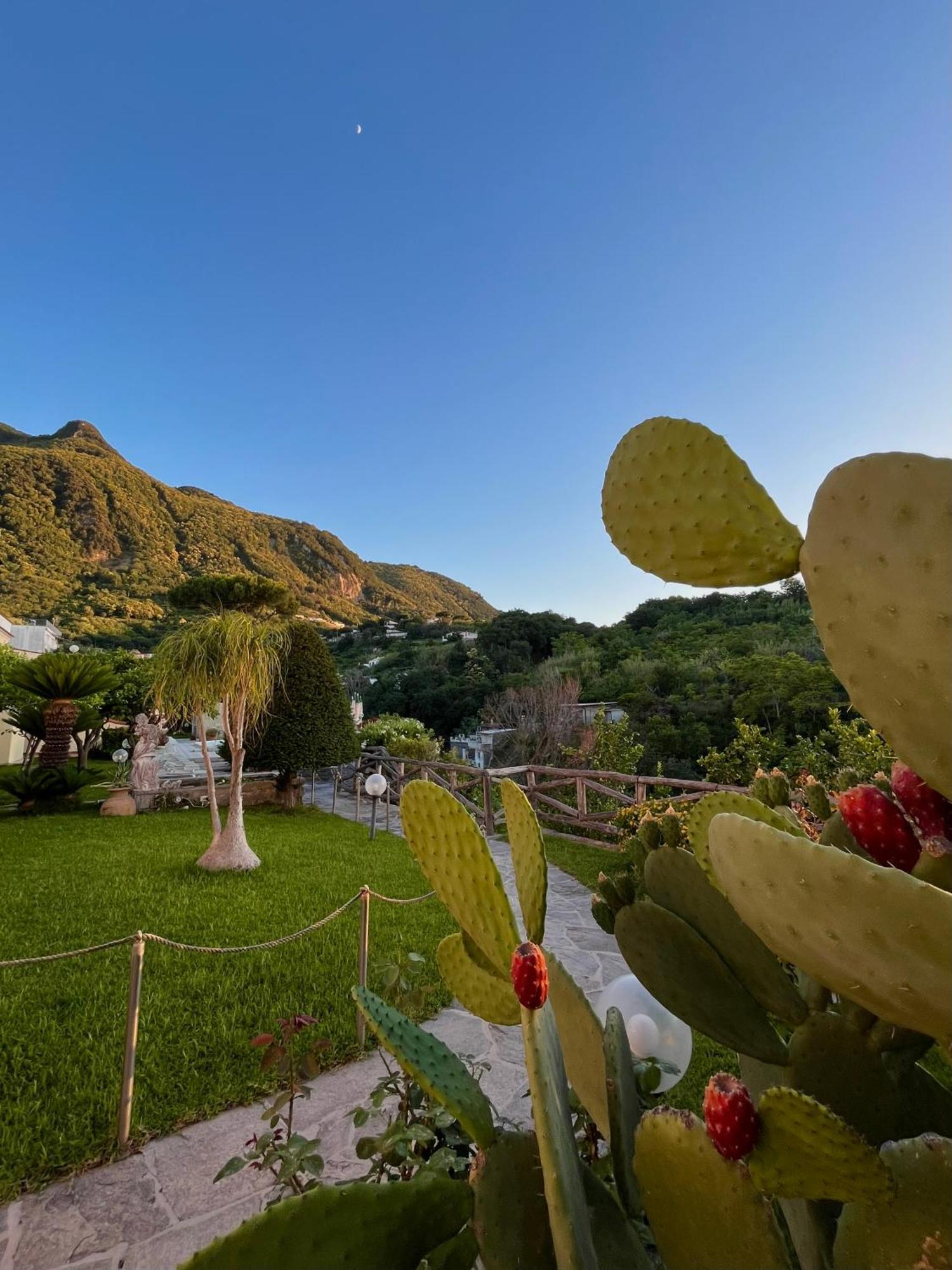 Resort Villa Flavio Casamicciola Terme Екстер'єр фото