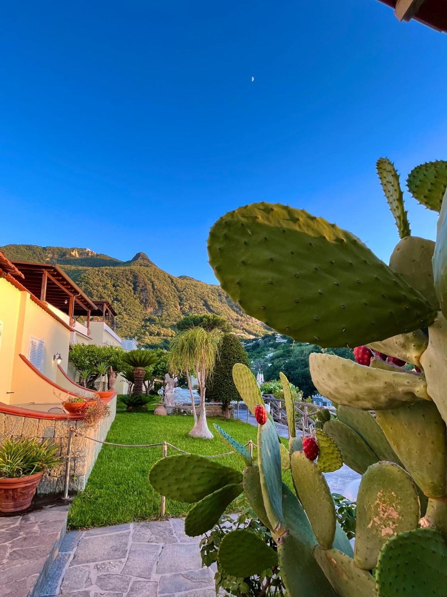 Resort Villa Flavio Casamicciola Terme Екстер'єр фото