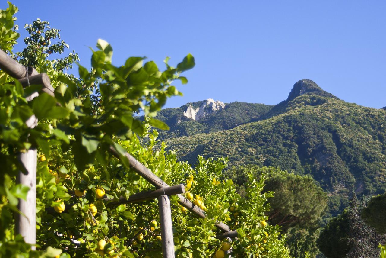 Resort Villa Flavio Casamicciola Terme Екстер'єр фото